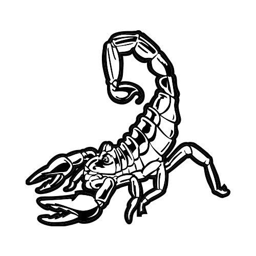 500x500 Scorpion Side Bw Clip Art