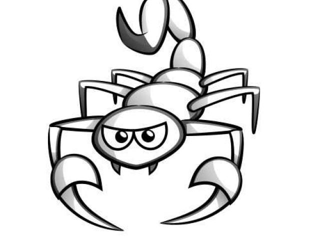 640x480 Scorpion Clipart Line Drawing