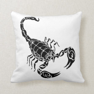 307x307 Scorpion Drawing Gifts On Zazzle Au