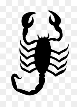 260x360 Scorpion Invertebrate Clip Art