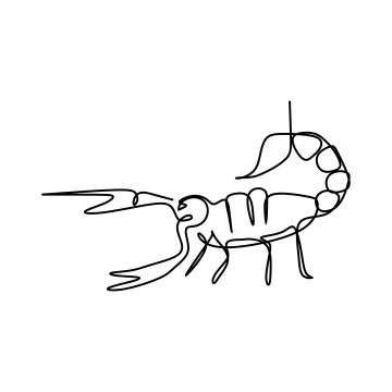 360x360 sketch scorpion, real, scorpion, charcoal strokes png image