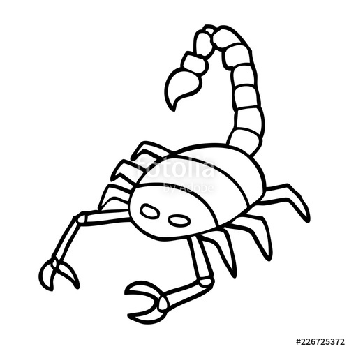 500x500 Line Drawing Cartoon Of A Scorpion Stock Image And Royalty Free