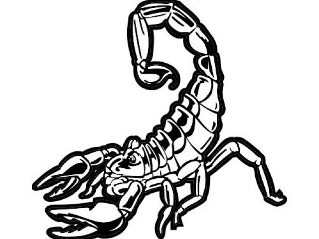 640x480 Free Scorpion Clipart, Download Free Clip Art