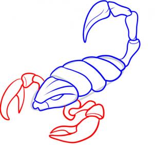 302x283 How To Draw Scorpions, Step