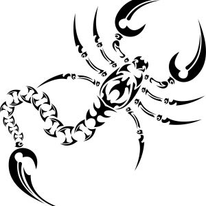 300x300 Refrence How To Draw A Scorpion