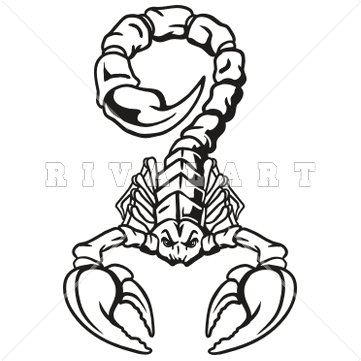 361x361 Scorpion Clipart Free Download On Scubasanmateo