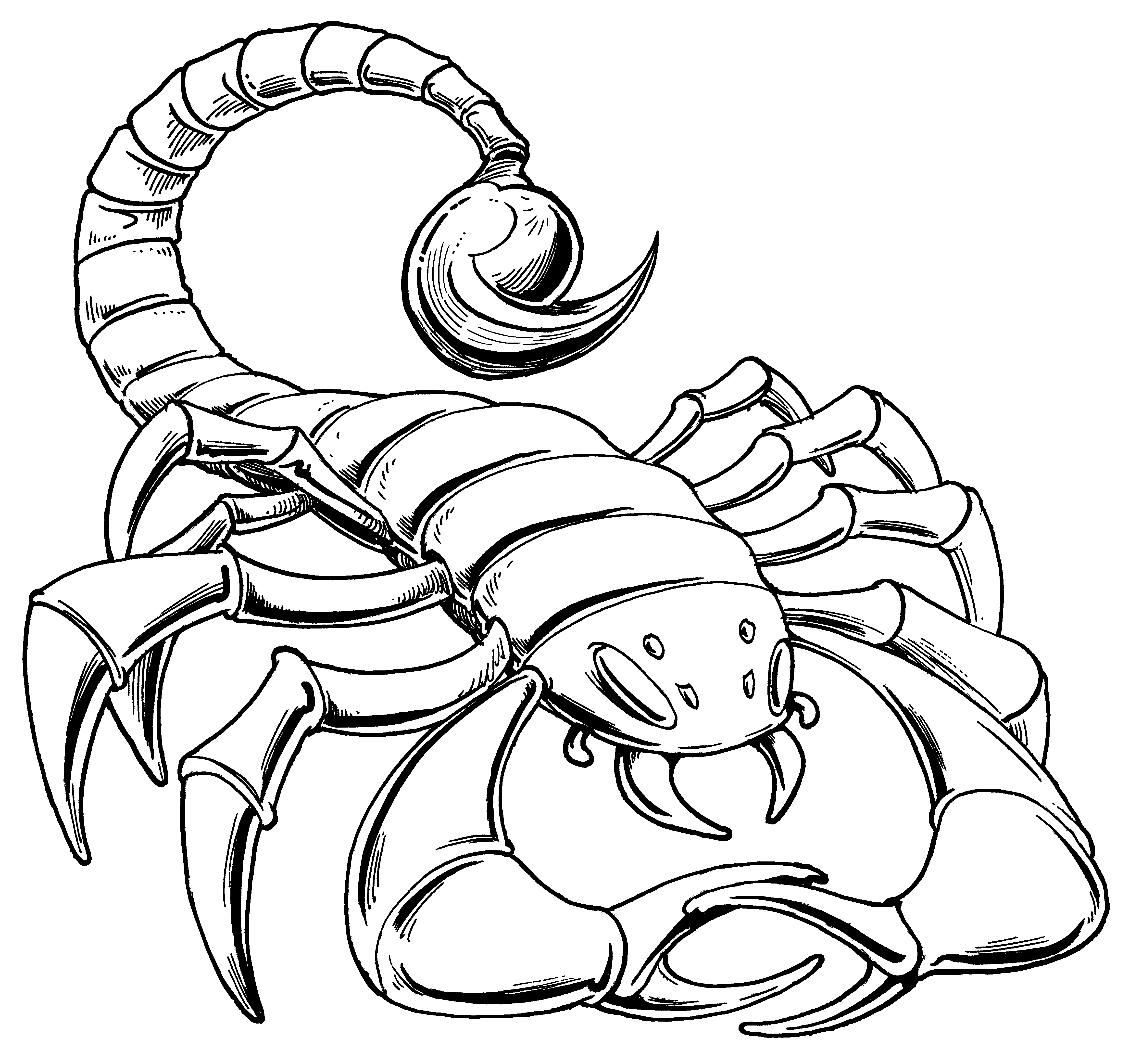 Scorpion Line Drawing Free download on ClipArtMag