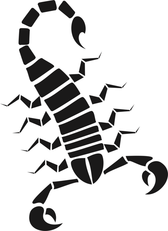 546x749 Emperor Scorpion Arachnid Drawing Cc0