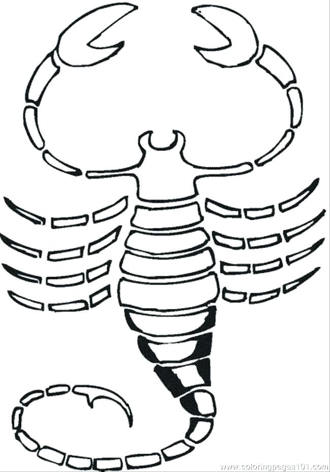 650x929 Scorpion Coloring Pages Sketch Templates Desert Betterfor