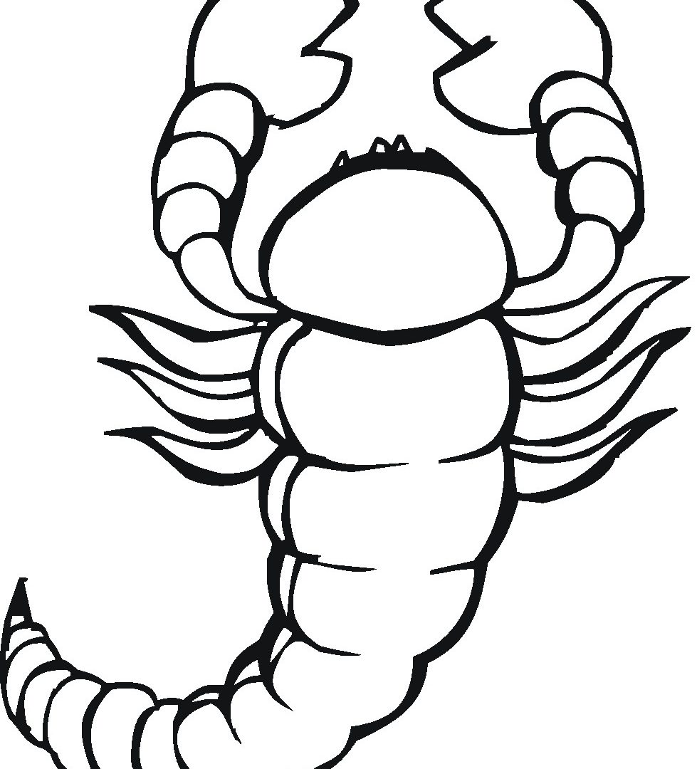 979x1080 Singular Scorpion Coloring Pages Mortal Kombat X And Sub Zero