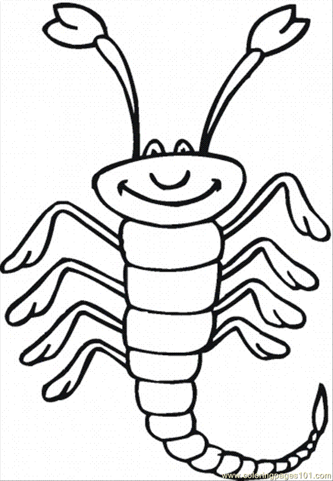 Scorpion Outline Drawing