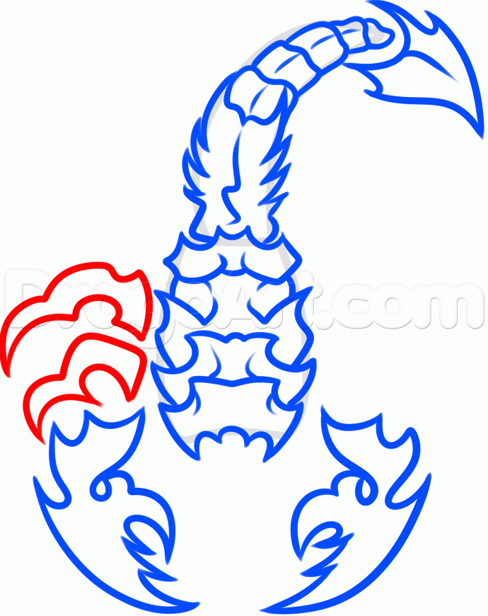 690x870 How To Draw A Scorpion Tattoo, Step