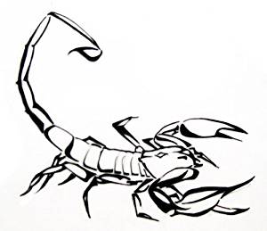 300x259 Scary Scorpion With Outline Vinyl Stickers Sticker
