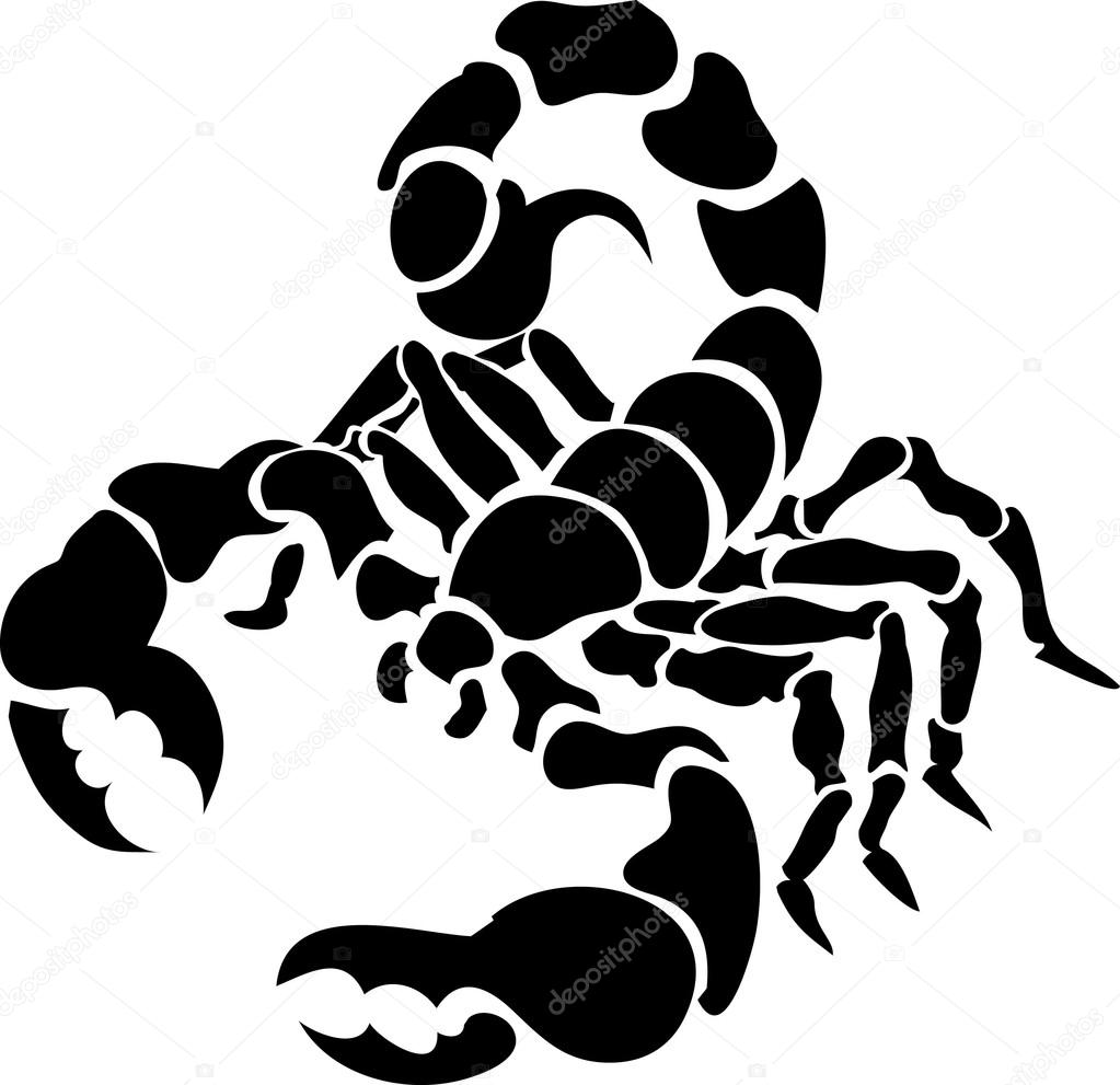 1023x991 Scorpion Clipart Line Drawing