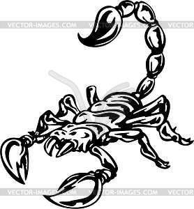 278x300 scorpion clipart scorpion tattoo