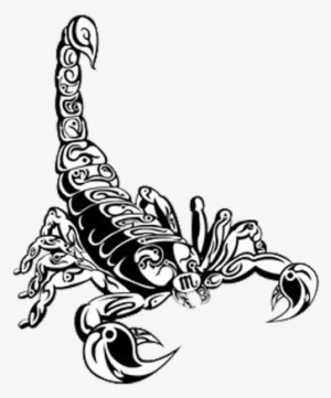 300x361 scorpion png, transparent scorpion png image free download