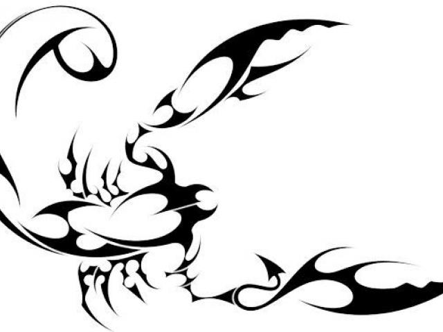 640x480 Scorpion Tattoos Clipart