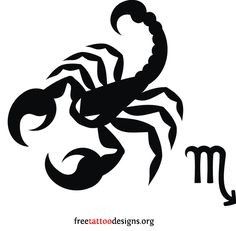 Scorpion Outline Drawing | Free download on ClipArtMag