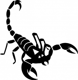 271x279 Scorpion Clipart Free Download On Scubasanmateo
