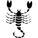 150x150 Scorpion Drawing