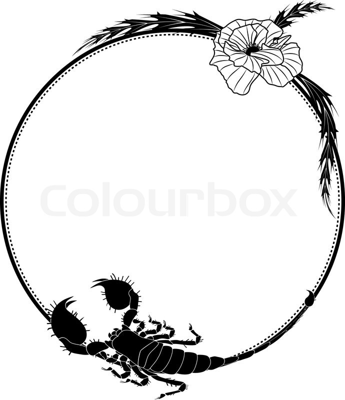 690x800 Vector Frame With Flowers Of Poppy Stock Vector Colourbox