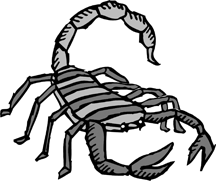 216x181 drawings of scorpions and other creepy invertebrates with a sting