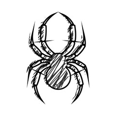 240x240 Graphic Vector Illustration Of Insect, Black And White Hand Drawn