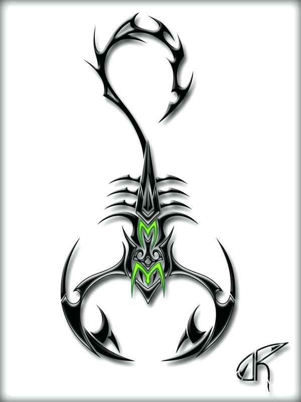 600x800 How To Draw Scorpions Best Images Days Astrology Signs Macquarie