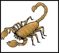 200x180 How To Draw Cartoon Scorpions Realistic Scorpions Drawing