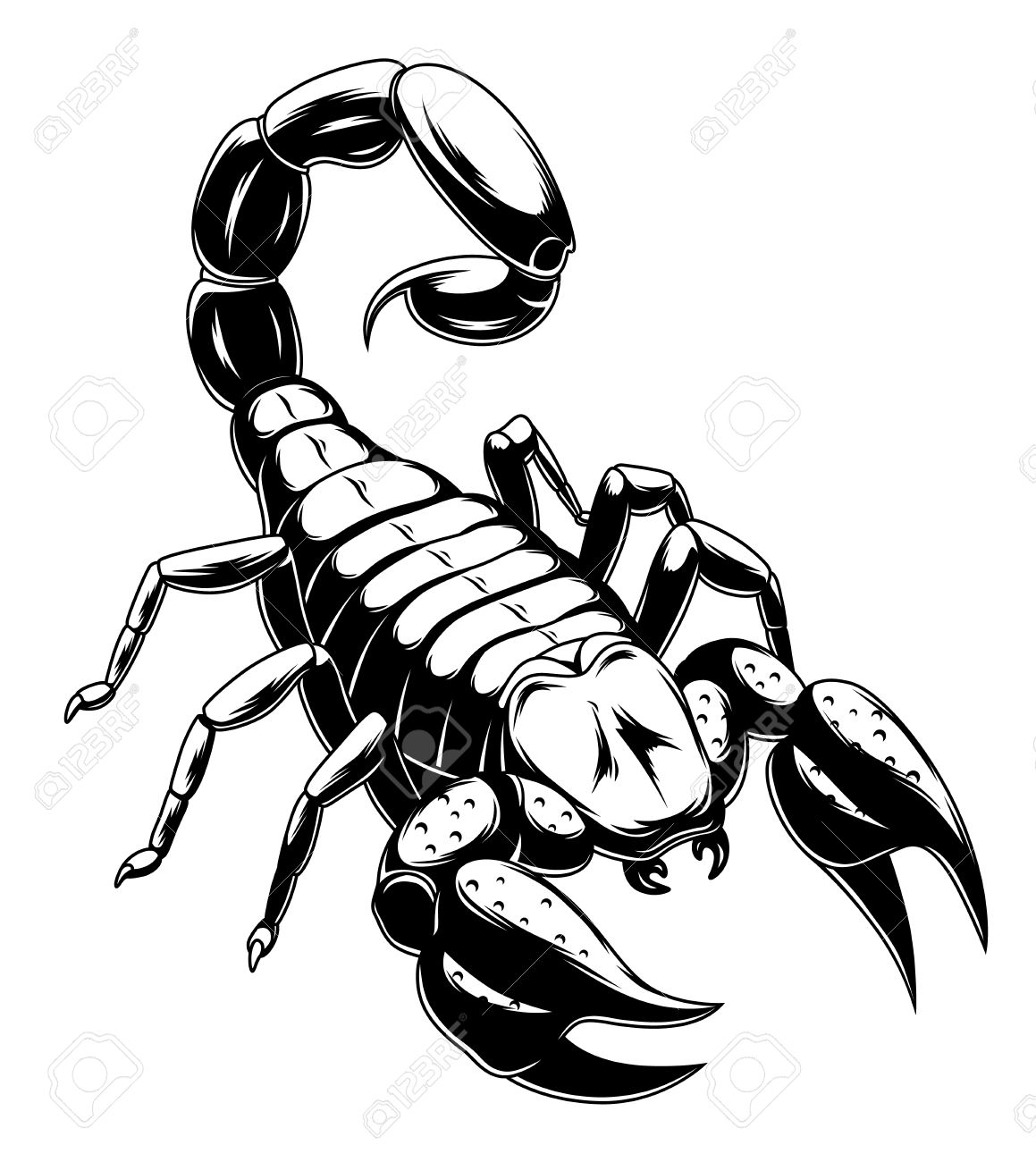 1159x1300 Scorpion Clipart Black And White
