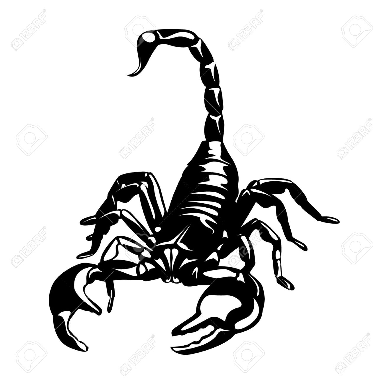 1300x1300 Scorpion Clipart Line Drawing