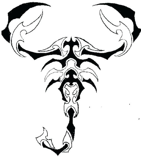 541x602 How To Draw Scorpions