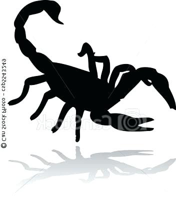 352x400 Scorpion Clipart Godshelters