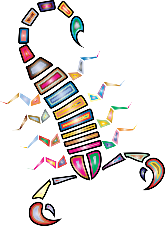 547x750 Emperor Scorpion Arachnid Drawing Animal Cc0