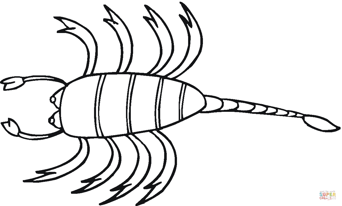 1200x724 Scorpion Coloring Pages