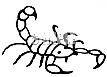 350x251 Scorpion Tail