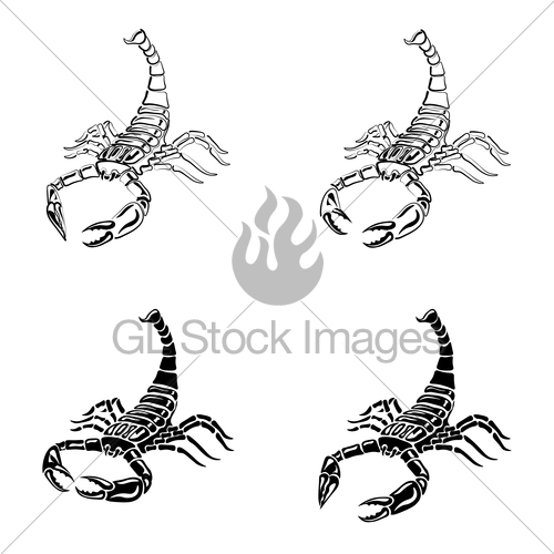 500x500 Set Of Black And White Scorpions For Tattoos, Zodiac Sign Gl