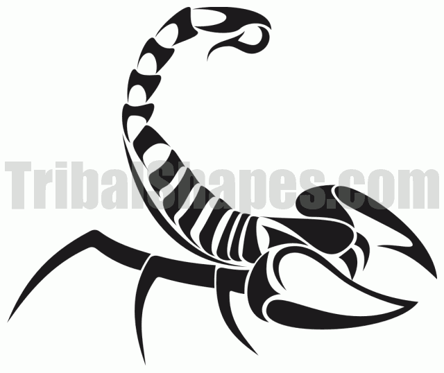640x538 Easy Scorpion Design Body As Canvas Tattoo Designs, Tattoos