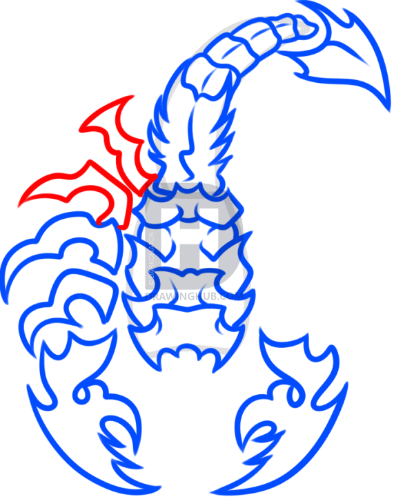 571x720 How To Draw A Scorpion Tattoo, Step
