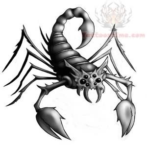 300x300 Scorpion Tattoo Samples