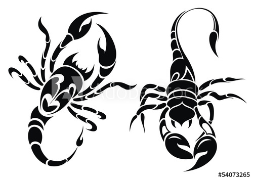 500x356 Scorpion Tattoo Design