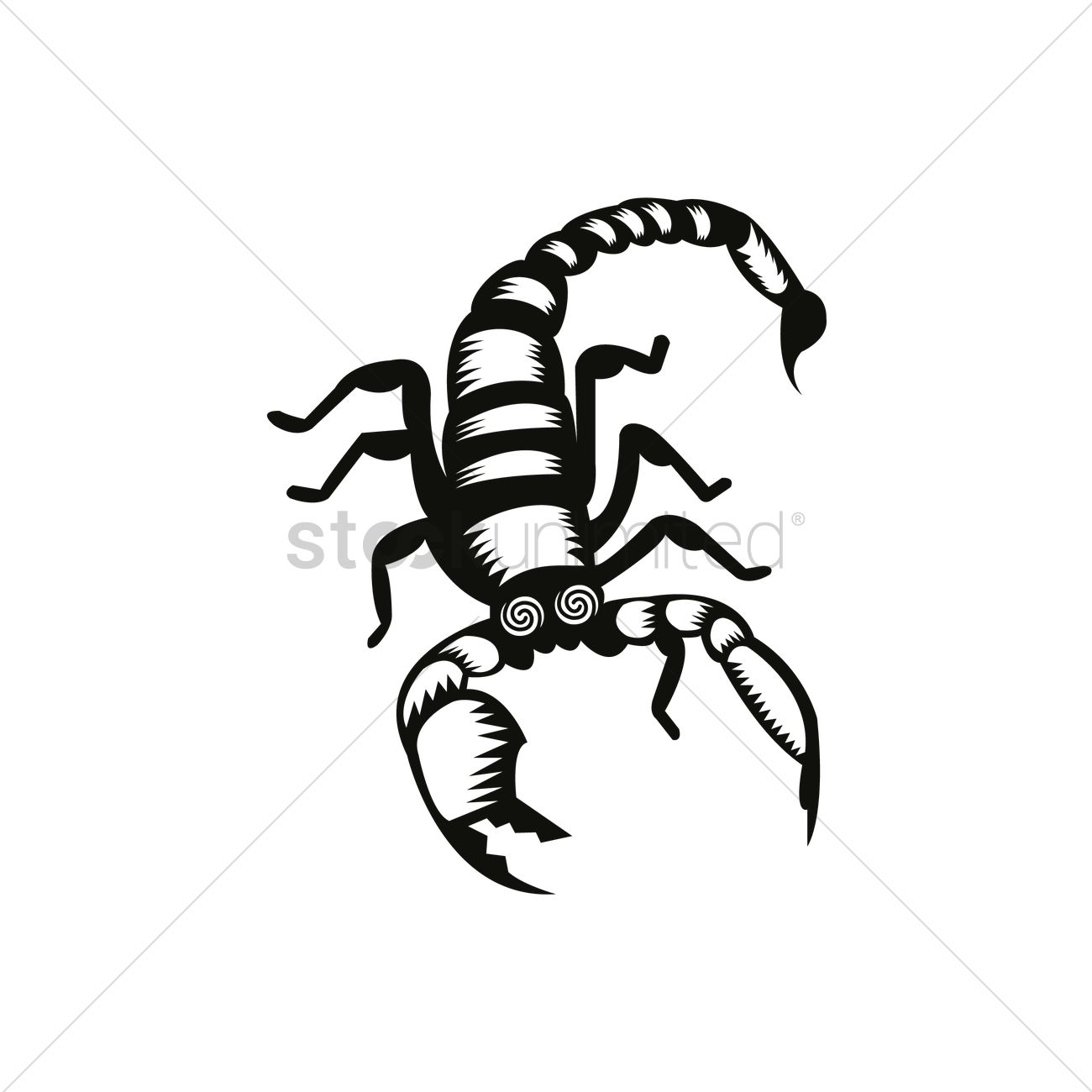 1300x1300 Scorpion Tattoo Design Vector Image