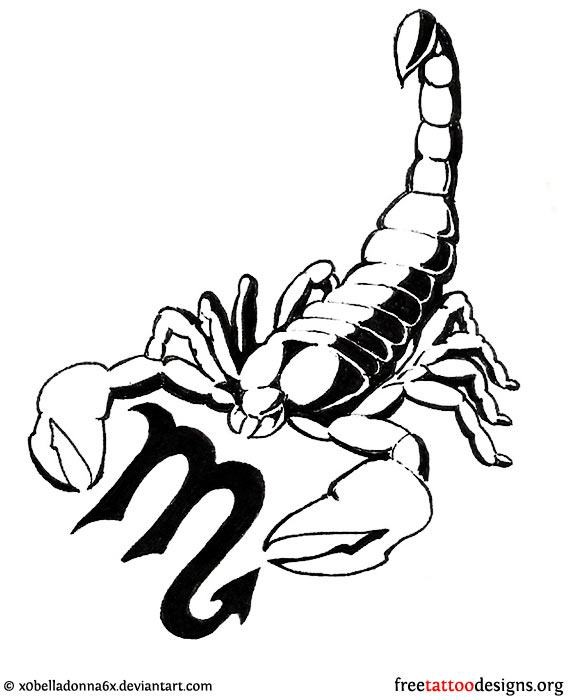 570x700 Scorpion Tattoo Flash And Drawing Tattooic