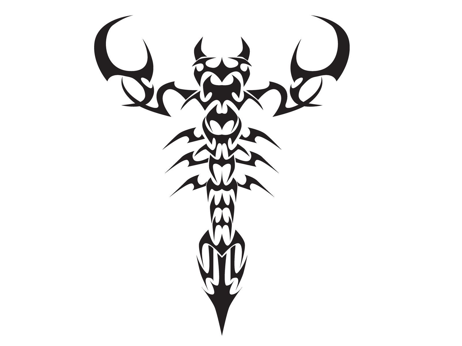 1600x1200 tribal scorpion tattoo scorpion tribal tattoo design tattoos
