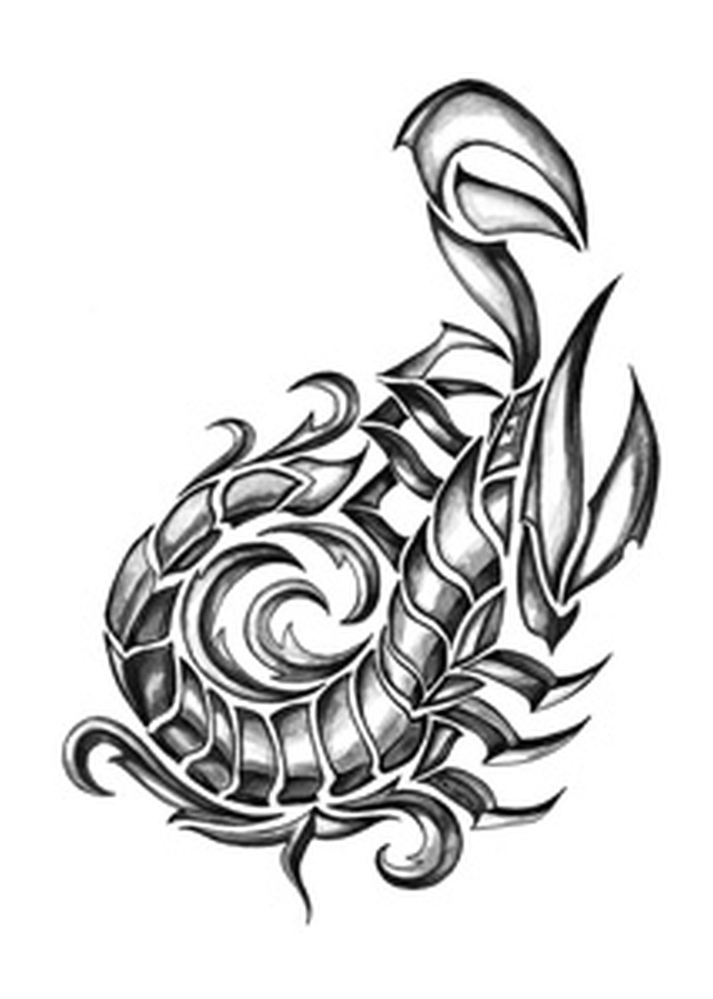 800x1121 Tribal Scorpion Insect Tattoo Design