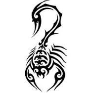 188x188 Image Result For Tribal Scorpion Tattoo Scorpio