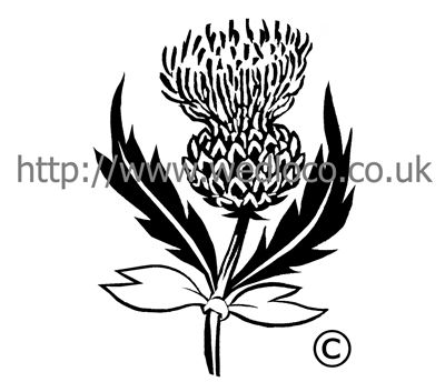 400x353 Scottish Thistle Line Drawing