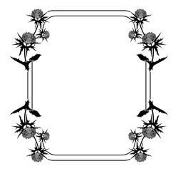 250x240 Thistle Stock Photos And Royalty Free Images, Vectors