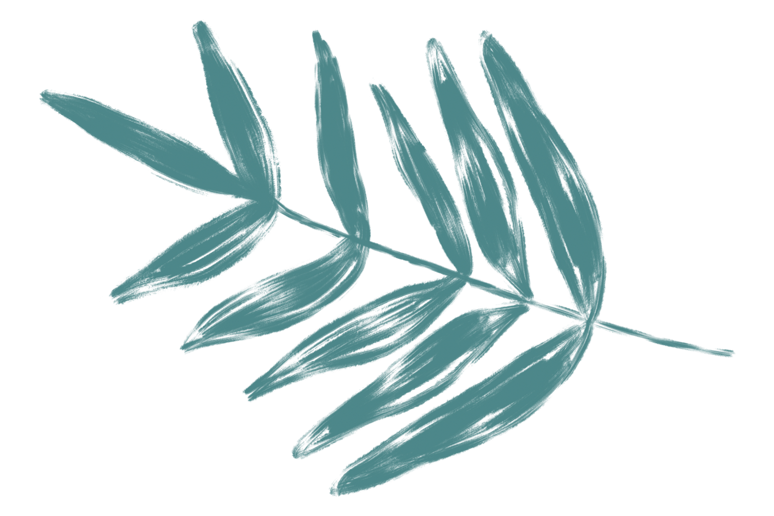 1536x1024 Weeds Drawing Design Transparent Png Clipart Free Download