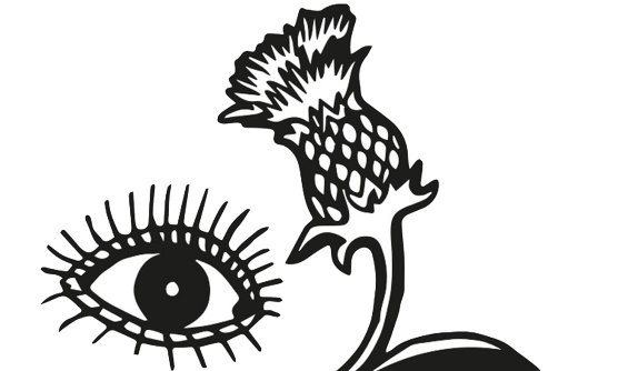 556x334 New Scottish Artists News University Of Dundee